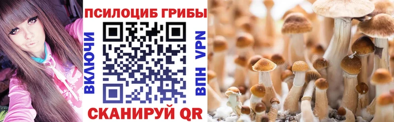 Псилоцибиновые грибы прущие грибы  Усть-Джегута 